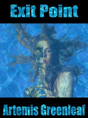 cover image of Exit Point